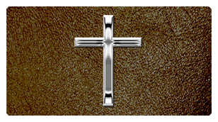 DSC700 510 SL SH BR Silver Single Cross Shimmer Brown Background